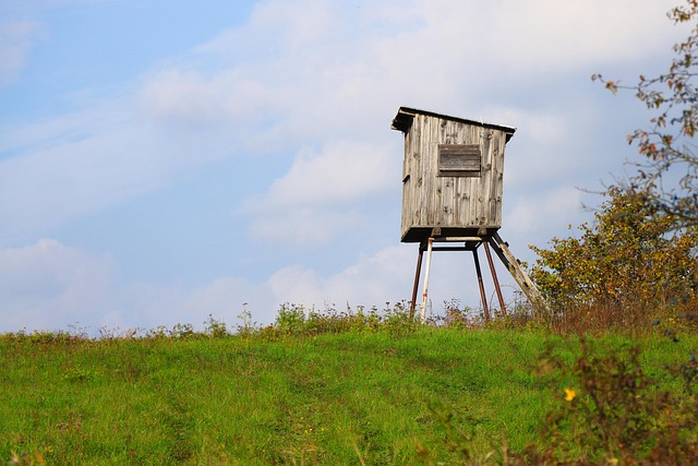 Efficient Tool Organization: Best Wooden Outdoor Storage Sheds Guide