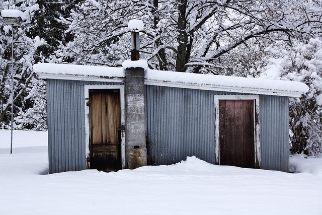Canadian Wooden Sheds: Functional, Beautiful Backyard Storage Solutions