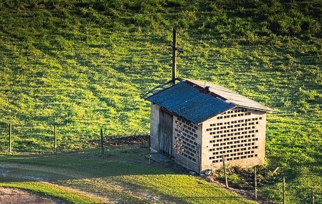 Maximize Space: Tips for Lofted Shed Design & Organization
