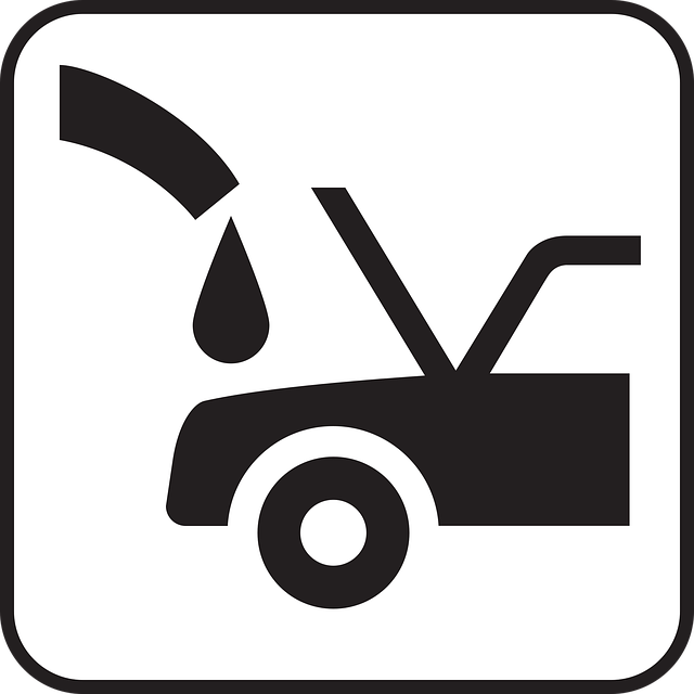Transform Your Garage: Upgrade, Save, Secure – Long-Lasting Solutions Now!