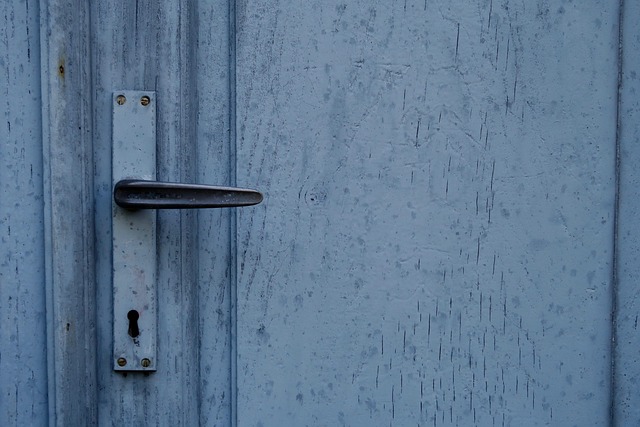 Save Time & Money: Top Garage Door Opener Service Near You