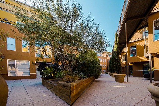 Transform Your Yard, Save Time & Stress: Top Windsor Landscaping Company Offers Free Design!