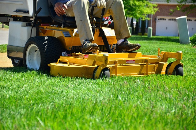 Transform Your Yard, Save Big: Windsor’s Top Landscapers for Less
