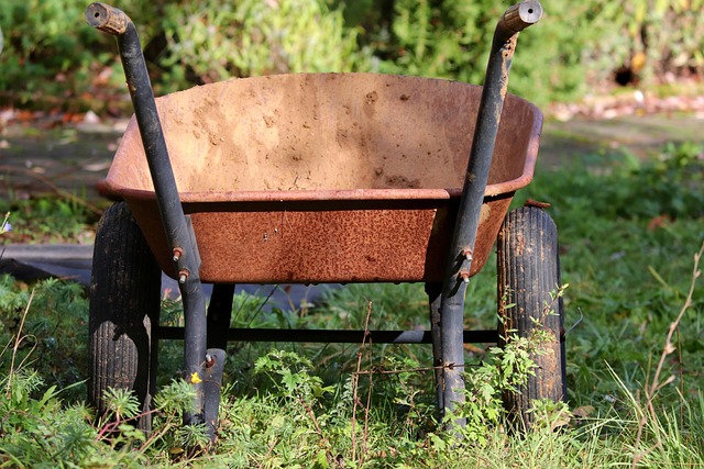 Transform Your Yard, Save Big: Best Landscaping Company Windsor