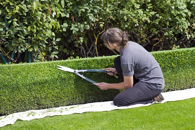 Transform Your Landscape with Affordable Deck & Fence Magic – Windsor’s Top Landscapers