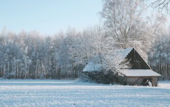 sheds-640x480-43627246.jpeg