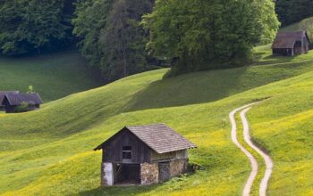 sheds-640x480-81987995.jpeg