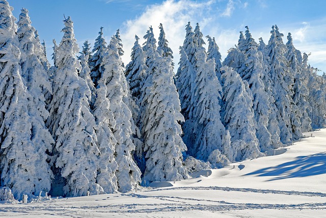 snow removal