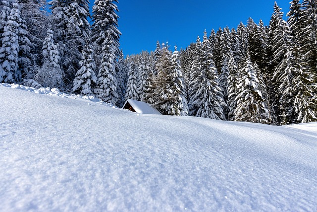 Hire Snow Removal Experts: Garlatti’s Services Unveiled