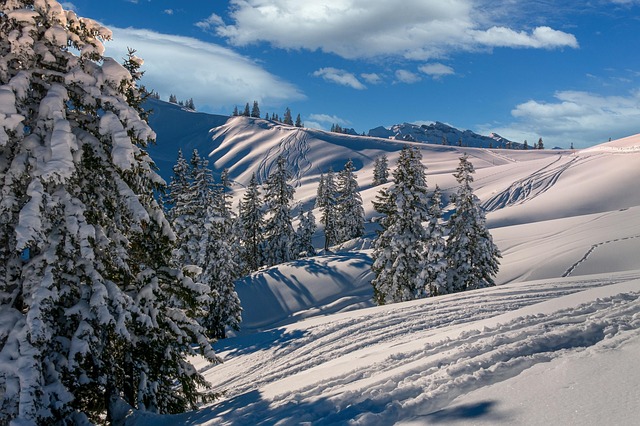snow removal