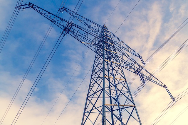 Unleash Your Potential: Top Local Utility Trailer Sales Near You