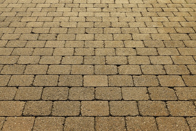 Transforming Canadian Concrete: Top 3 Epoxy Flooring Trends from Trusted Experts